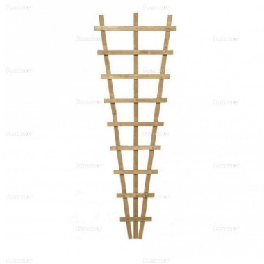 Fence Panel 212 - Fan Trellis, Pressure Treated, FSC® Certified